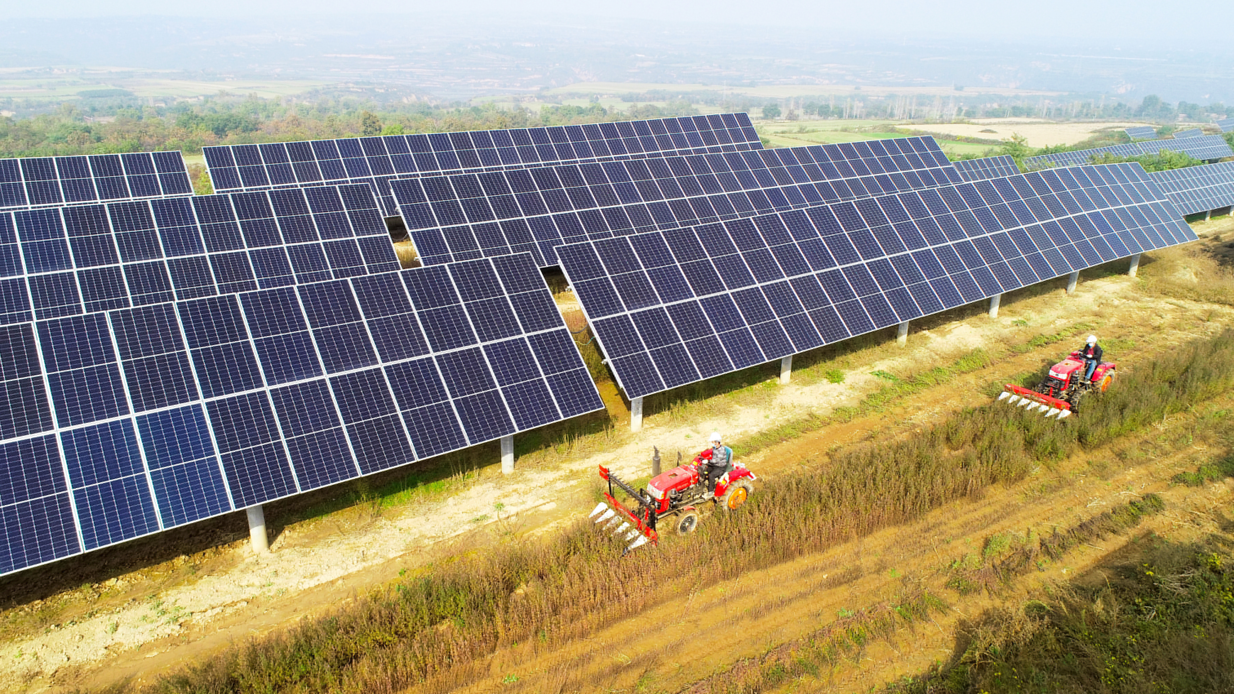 圖3.大唐西安熱電廠永壽高廟山光伏電站進(jìn)行中草藥收割工作，實(shí)現(xiàn)惠農(nóng)共贏.jpg