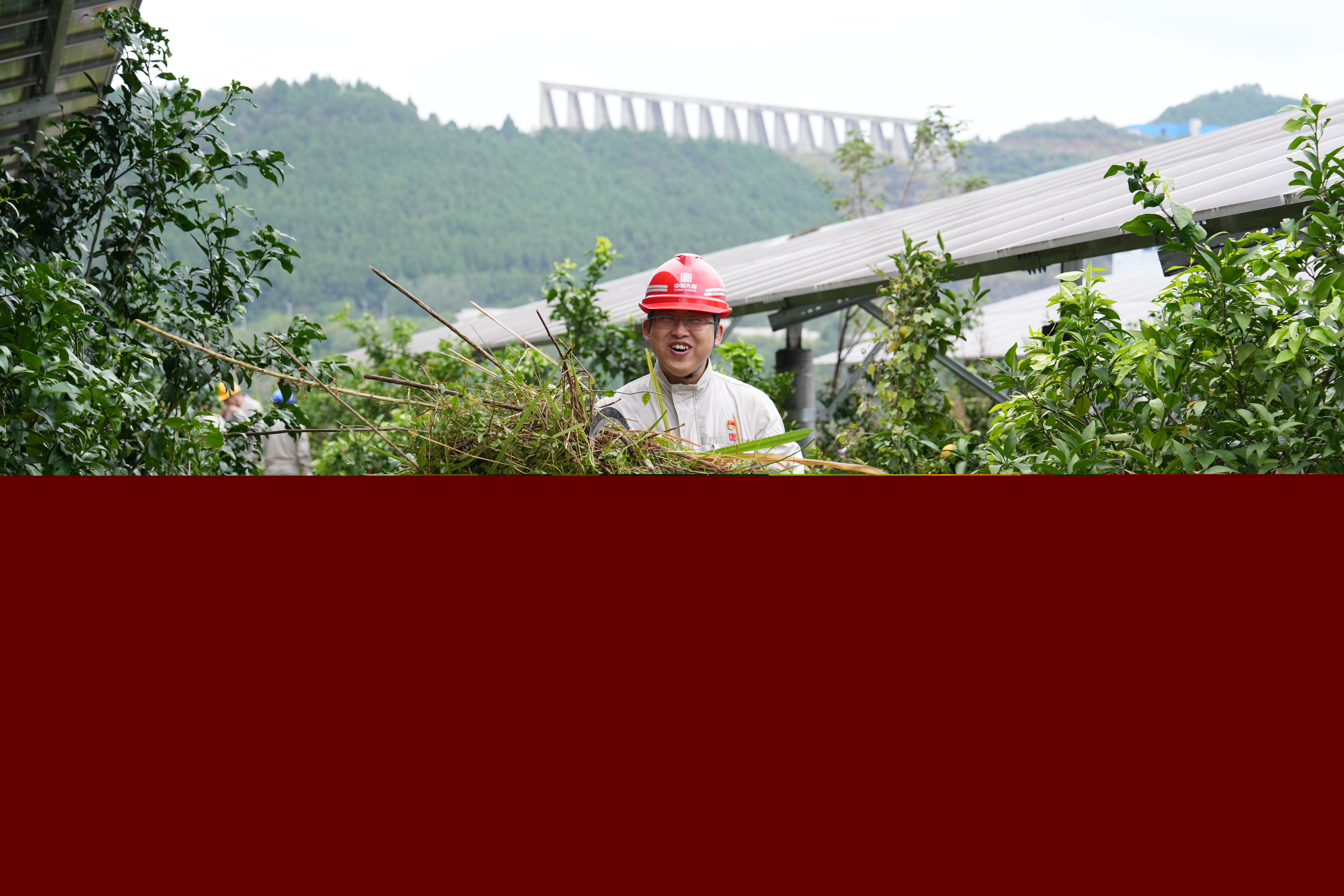 2024年10月12日，亭子口公司開展“百日攻堅 農(nóng)光一體化 我們在行動”除草活動 (11).jpg